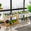 花架子室内阳台多肉植物花，盆架现代客厅，落地式多层置物架2024
