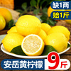 华秧安岳黄柠檬(黄柠檬)9斤新鲜水果当季现摘皮薄，一二级香水小金桔青柠檬