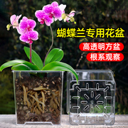 方形高透明塑料花盆栽亚克力方盆套盆水苔兰花蝴蝶兰专用花盆家用