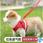 柯基专用狗绳幼犬牵引绳，小型迷你狗链子，可爱韩版小公主背心式遛狗