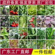 蔬菜种子四季盆栽阳台菜种子香菜，辣椒番茄黄瓜豆角西瓜葱籽孑大全