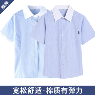 中大童蓝色条纹衬衫中小学生校服长袖短袖英伦风男童女童学生