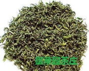 崂山绿茶2023，新茶秋茶，山东特产，特级散装，500克豌豆香型