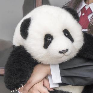 熊猫工厂5月龄萌兰公仔，仿真玩偶女友，情人节礼物可爱儿童毛绒玩具
