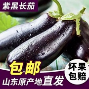 寿光新鲜长茄子5斤紫茄子农家，自种长线大茄子，黑嫩现摘非圆茄蔬菜