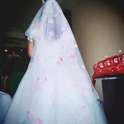 新娘头纱结婚3米超长头纱，婚纱礼服拖尾韩式头纱，头饰花瓣头纱