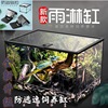水陆缸白玻璃缸雨林植物造景角蛙爬虫两栖雨淋生态龟鱼缸爬箱
