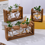 创意绿萝水培器皿玻璃，ins家居装饰办公室桌面，小花瓶摆件客厅插花