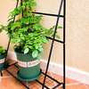 花园生活欧式铁艺花架，落地式植物d爬藤架，室外带底座阳台铁线莲