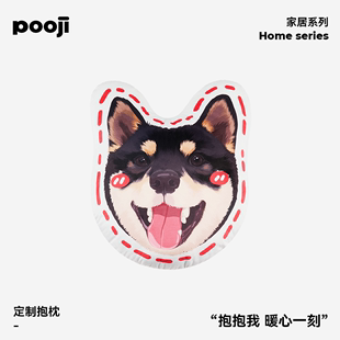 pooji宠物定制周边原创设计抱枕，不规则外形可爱玩偶双面抱枕猫狗