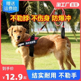 狗狗牵引绳背心式金毛拉布拉多胸，背带小型中型大型犬遛狗绳狗链子