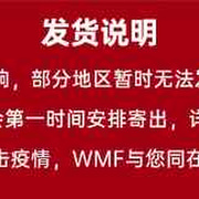 wmf冰淇淋机家用小型自制迷你全自动水果雪糕冰激凌机酸奶甜筒机