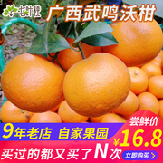 广西特产武鸣沃柑10斤整箱新鲜当季水果红美人桔子贡柑纯甜大橘子