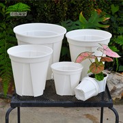 青山控根盆小虫草堂塑料花盆，大号型植物家用绿植，白色透气加厚花盘