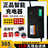 适用金箭原厂电动车电瓶，充电器48v12ah48v20ah60v72v30ah智能