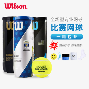 wilson威尔胜网球威尔逊大师赛，美网法网耐打初学专业训练比赛球