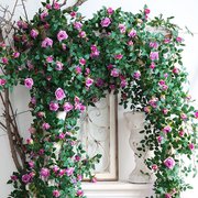 仿真玫瑰花藤条空调管道，遮挡缠绕挂墙假花墙面，装饰背景墙阳台吊篮