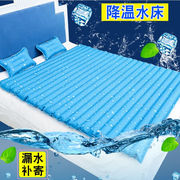 水床冰垫床垫水垫枕头冰凉宿舍降温水席袋床上单人水床垫双人
