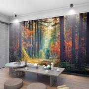 自然风景清新园林壁画3d立体电视，背景墙壁纸客厅，卧室森林装饰墙纸