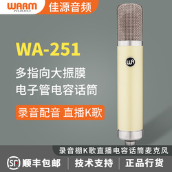  Warm Audio WA251 电子管大震膜多指向人声电容麦克风 话筒