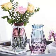 北欧干花插花水培绿萝植物玻璃瓶 家用客厅摆件创意简约透明花瓶