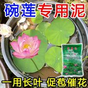 碗莲专用泥荷塘泥碗莲专用土荷花泥水培碗莲河泥水生植物营养泥