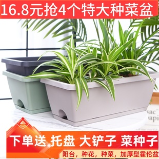 种菜盆长条霍伦花盆塑料家庭，阳台种植箱，种花蔬菜长方形特大种植槽