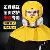 防毒面具全面罩喷漆专用防毒防尘防护喷砂全脸面罩，头罩罩头护面罩