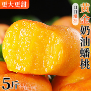 黄金奶油蟠桃5斤桃子新鲜水果应当季彩虹整箱潘桃甜3蜜桃扁桃