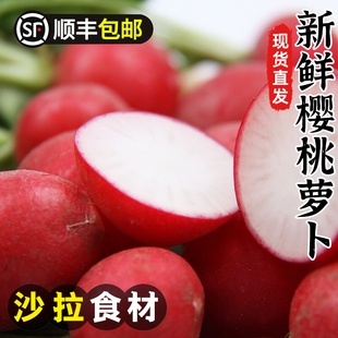 樱桃萝卜新鲜小红萝卜水果萝卜西餐沙拉蔬菜健身食材4斤