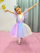 儿童芭蕾舞蹈演出服女童亮片，蓬蓬纱裙幼儿公主，舞裙吊带渐变表演服