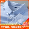 纯棉加厚牛津纺白蓝色(白蓝色)衬衫，长袖男士条纹免烫内搭衬衣男2023年