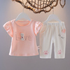 婴儿童装女宝宝夏装1-3岁短袖，套装小童夏天衣服女童t恤短裤两件套