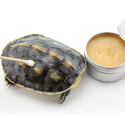 乌龟真菌净龟甲白斑真菌药感染水龟陆龟白点龟背专用发白护理非药