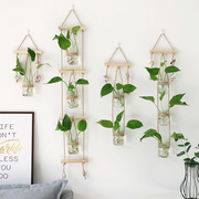 ins创意水培植物壁挂玻璃花瓶，装饰绿萝小吊瓶，小清新墙面简约挂饰