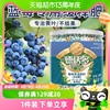 一件蓝莓专用肥缓释肥蓝莓树果苗盆栽颗粒肥料酸性改善