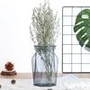 欧式简约彩色水培玻璃花瓶透明水养绿萝富贵竹植物花盆桌面插花瓶