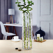 特大号富贵竹花瓶玻璃透明高款插花家用竹节圆柱直筒花瓶
