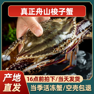 产地直发 舟山梭子蟹新鲜活冷冻超大 液氮海螃蟹水产海蟹白蟹飞蟹