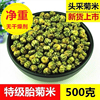 菊花茶桐乡胎菊米头采特级正宗杭白菊，贡菊花茶500g散装新花草(新花草)茶叶