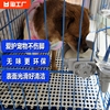 宠物脚垫兔笼猫笼网格狗笼垫板垫脚板狗狗笼子兔子专用垫子防滑