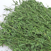 绿色b新苜蓿(新苜蓿，)烘烤紫花苜蓿草，干草粮粮兔猫龙子兔食荷兰猪兔草