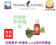 Young Living Lemongrass柠檬香茅柠檬草精油15ml