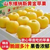 维纳斯黄金苹果5斤尊贵礼盒装水果，新鲜整箱当季正宗时令黄胖子(黄胖子)甜