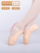 舞蹈鞋免系带软底鞋女童中国舞练功猫爪鞋民族舞粉色芭蕾舞跳舞鞋