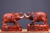 印度小叶紫檀精工雕刻大象吉象如意木雕工艺品摆件