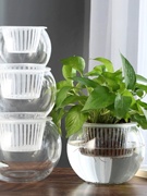 玻璃花瓶透明水养花盆绿植水培器皿容器郁金香绿萝桌面创意小摆件