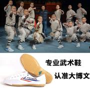 大博文飞跃练功鞋儿童武术，专用鞋训练鞋，运动鞋比赛鞋专业武术鞋男