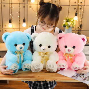 可爱泰迪熊公仔毛绒玩具布娃娃熊猫，抱抱熊女生小熊，儿童玩偶送女孩