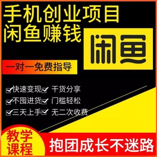 闲鱼运营课程一对一指导闲咸鱼手机，创业副业赚钱小项目教程